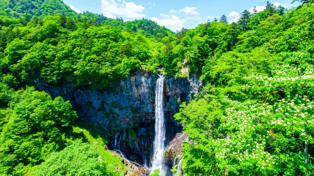 夏の華厳の滝