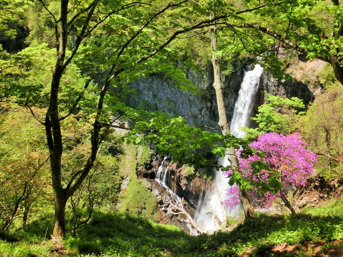 春の華厳の滝